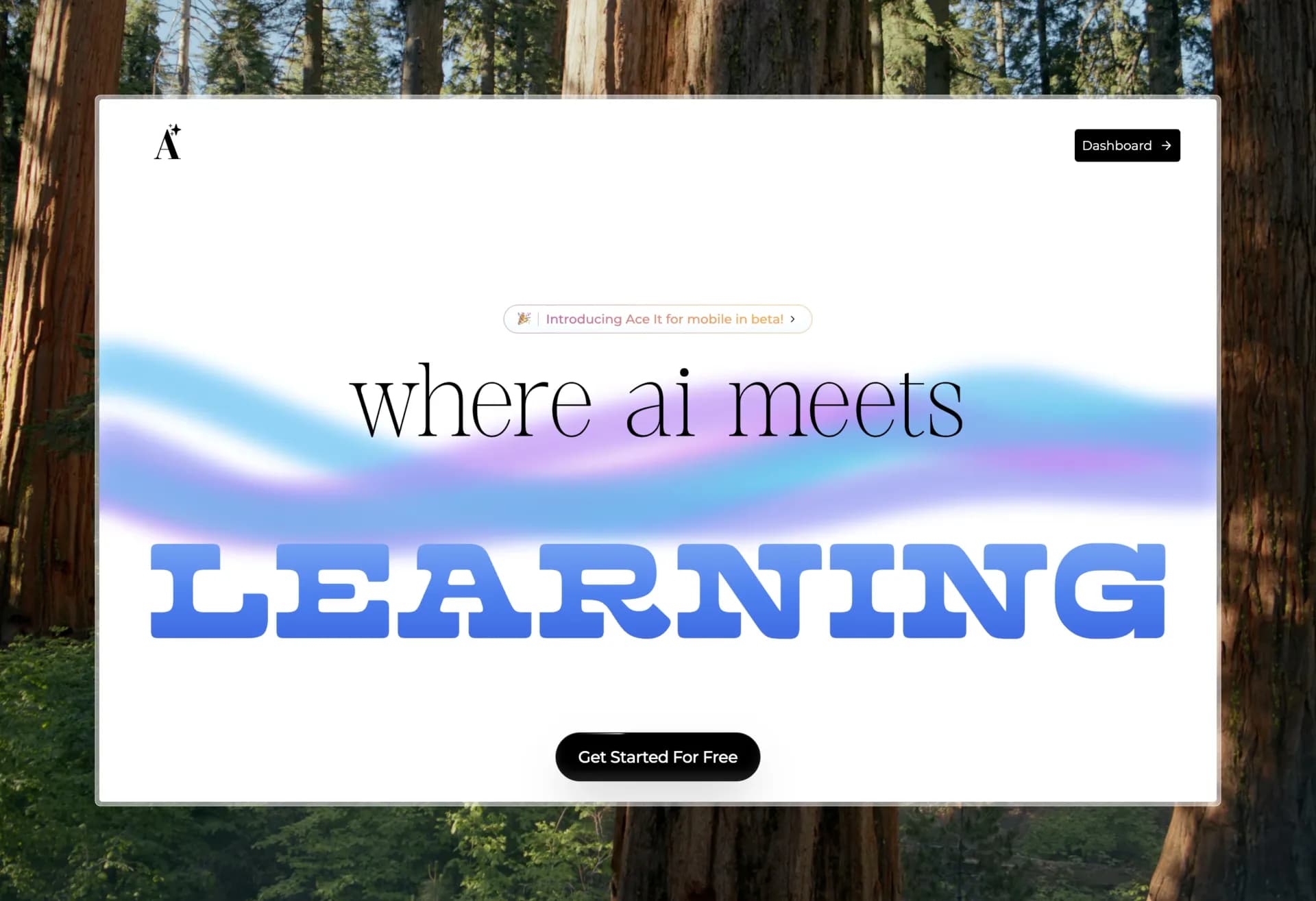 Ace It homepage screenshot — Transform any content into effective study materials.