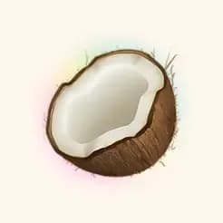 AI Note Taker - Coconote logo