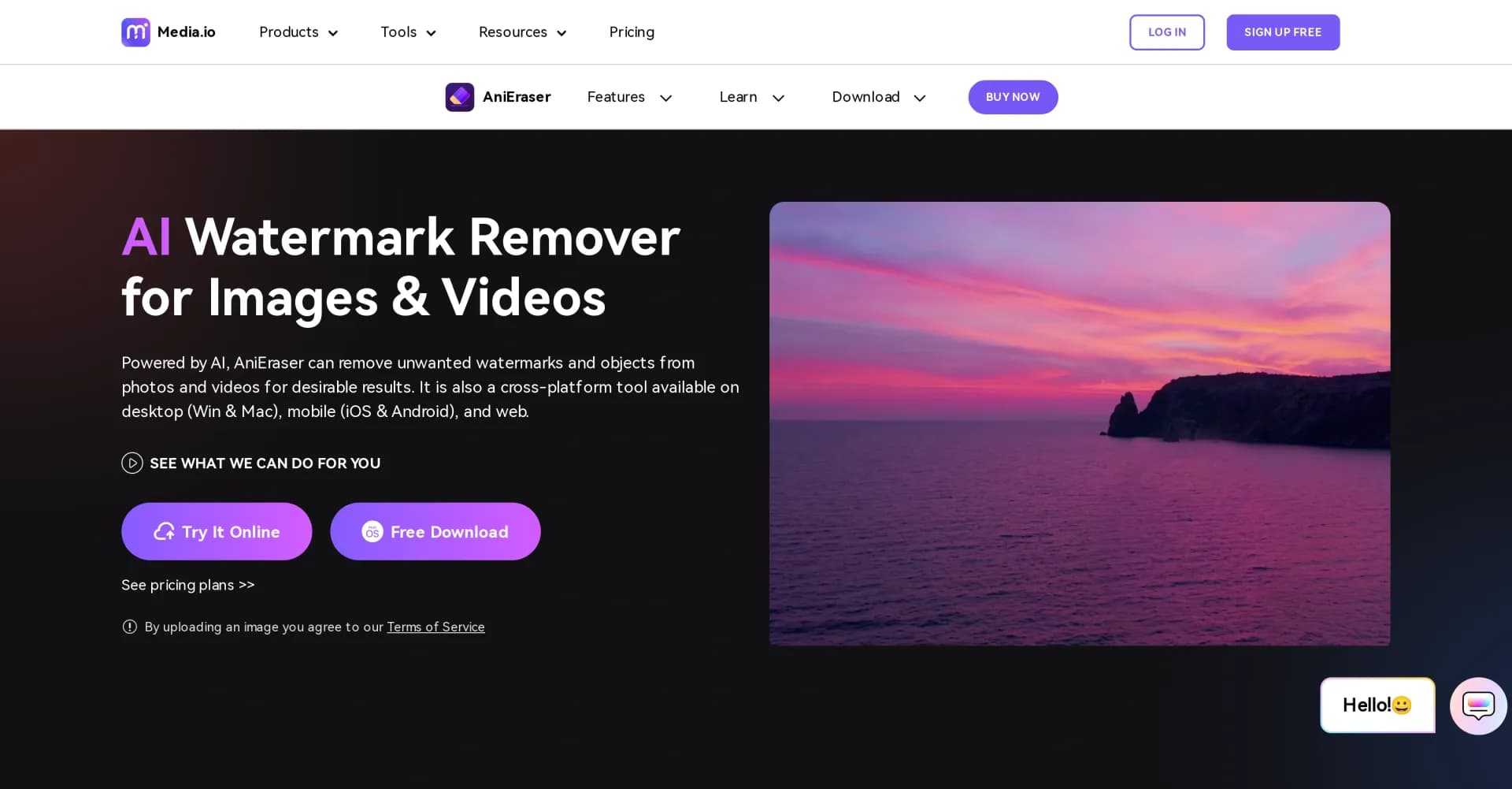 AniEraser homepage screenshot — Erase watermarks and objects from photos and videos with AI