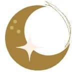 Astronov logo