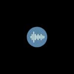Audiolizer logo