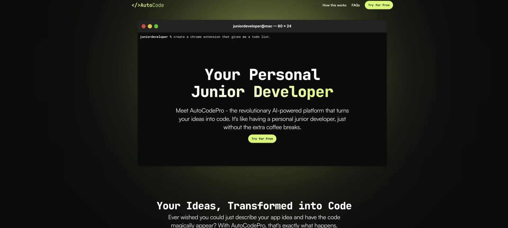 AutoCode Pro homepage screenshot — Turn your ideas into code with AI.