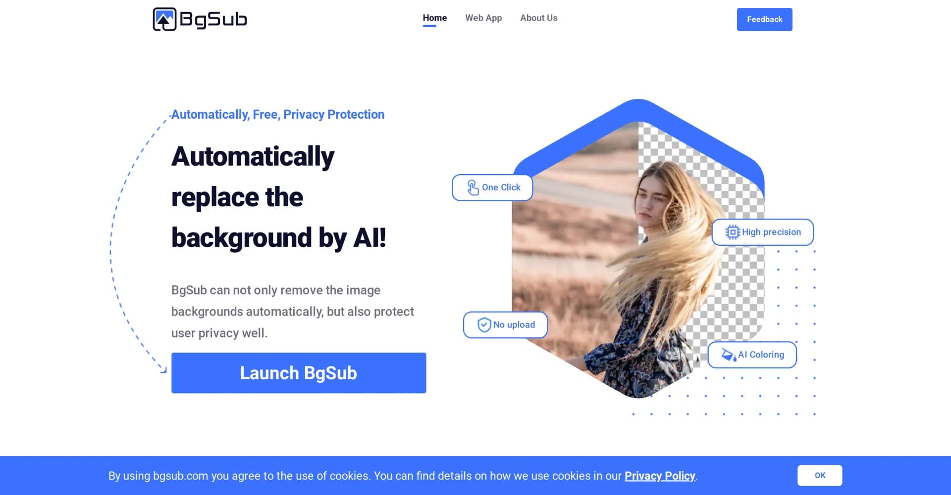 BgSub homepage screenshot — Remove or replace image backgrounds instantly, without uploa