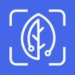 BiteRight logo