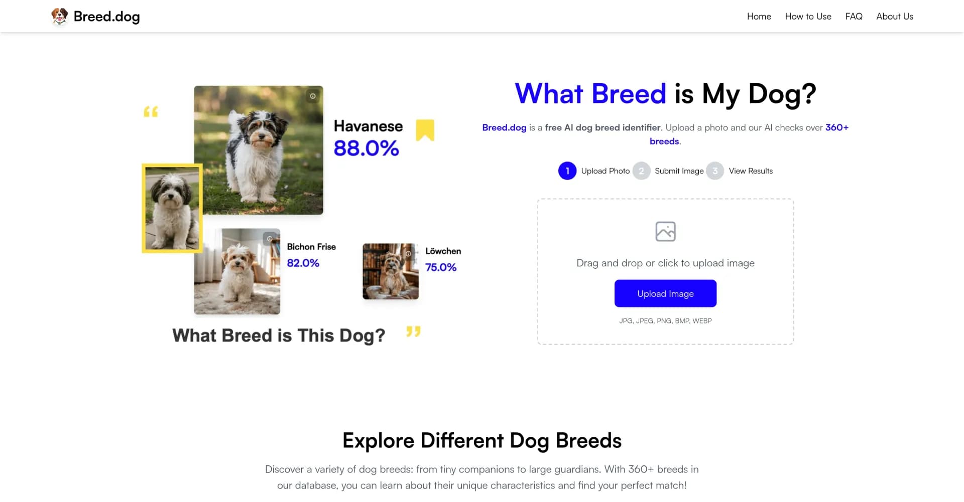 Breed.dog homepage screenshot — Identify your dog's breed with AI in seconds