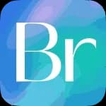 Bridge logo