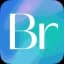 Bridge logo