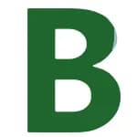 BuddyAI logo