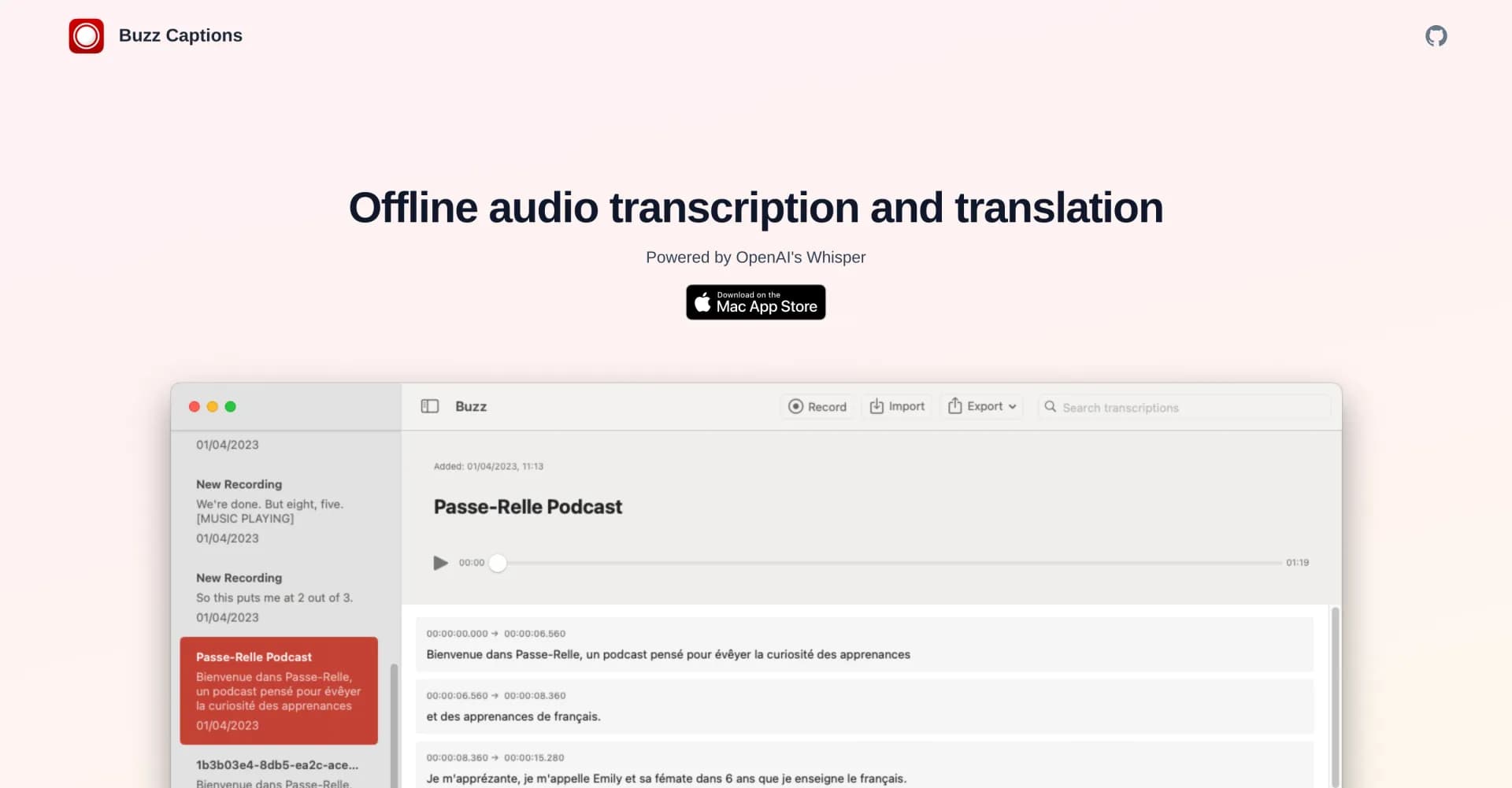 Buzz Captions homepage screenshot — Offline audio transcription and translation powered by AI