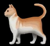 Cat GPT logo