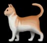Cat GPT logo