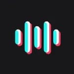 Celebrity Voice Changer AI logo