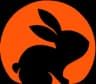 CodeRabbitv1.4 logo