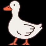 Design Ducky logo