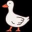 Design Ducky logo