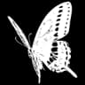 DocExtractor logo