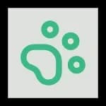 DogMusic AI logo