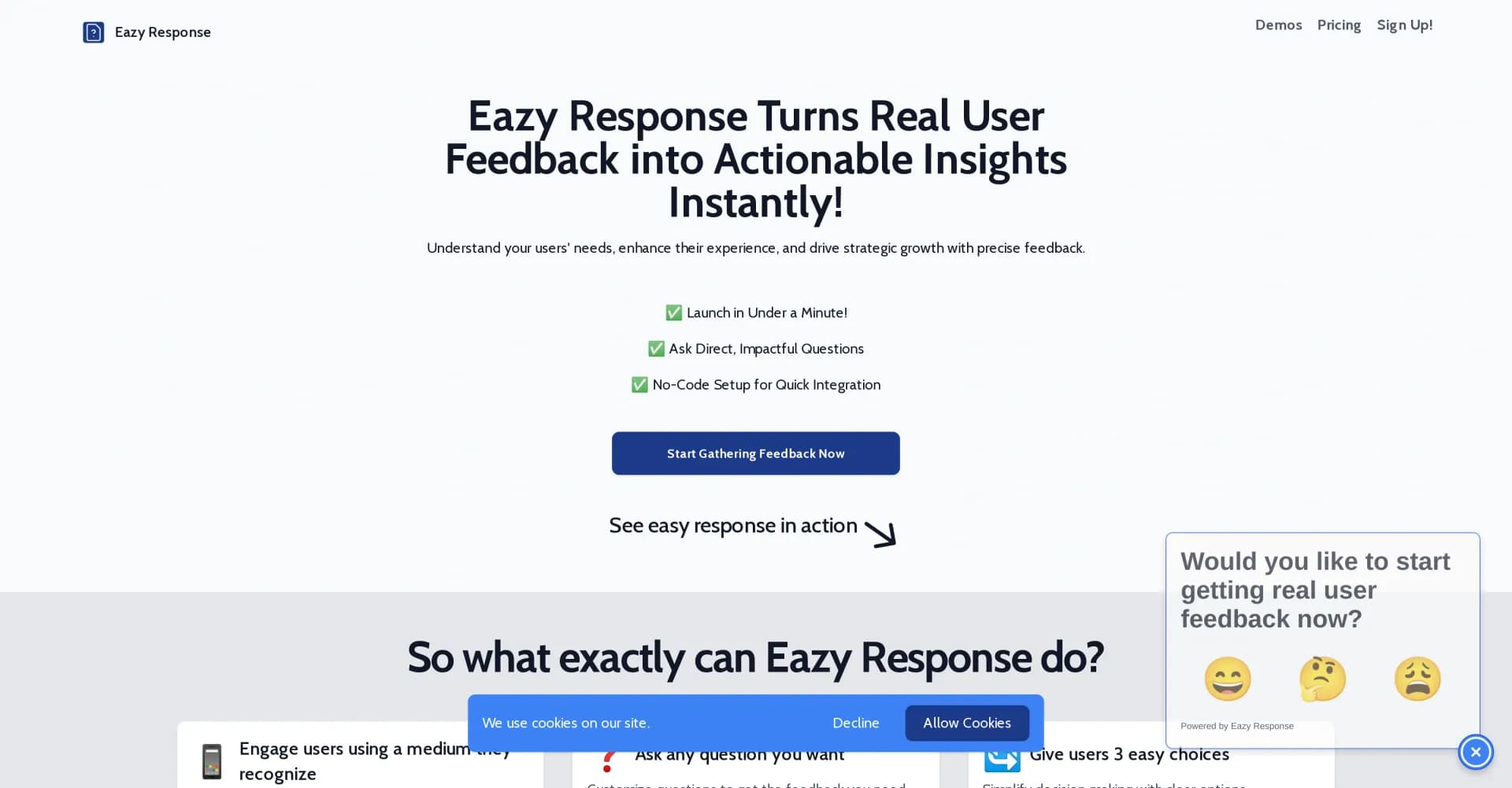 Eazy Response homepage screenshot — Turn real user feedback into actionable insights instantly