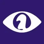 eBook Chessvision logo