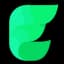 Elisi logo