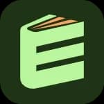 EssayFlow logo