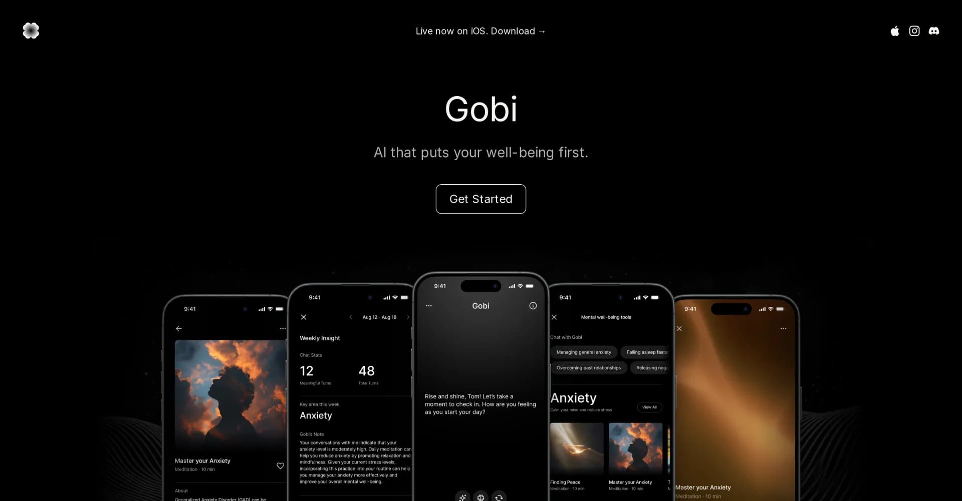 Gobi homepage screenshot — AI companion for personalized well-being insights.
