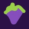 GrapeGPT logo