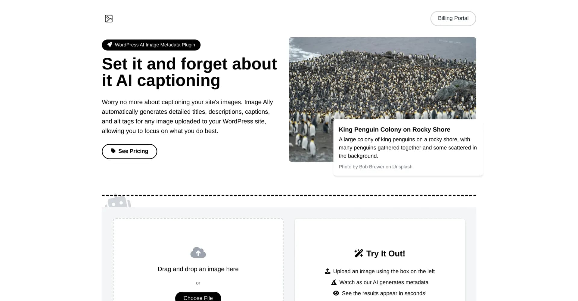 Image Ally homepage screenshot — AI-powered image metadata for WordPress, set and forget.