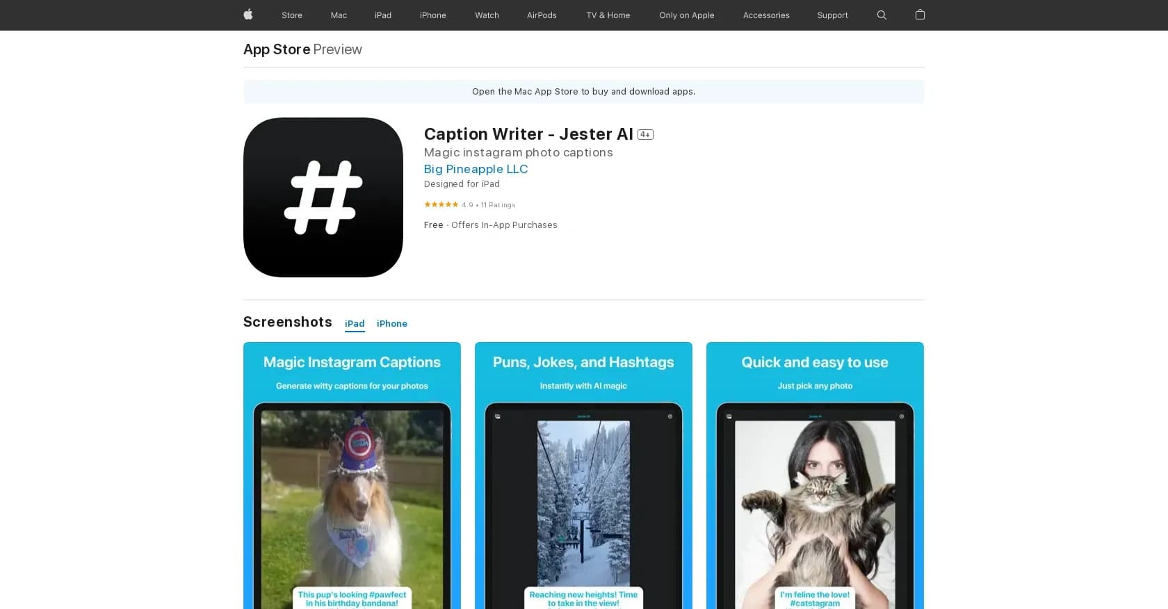Jester AI - Caption Writer homepage screenshot — Create captions for social media photos.