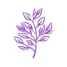 Lexicon - Word Flashcards logo