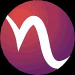 Netus logo