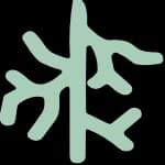 Neural Consult logo