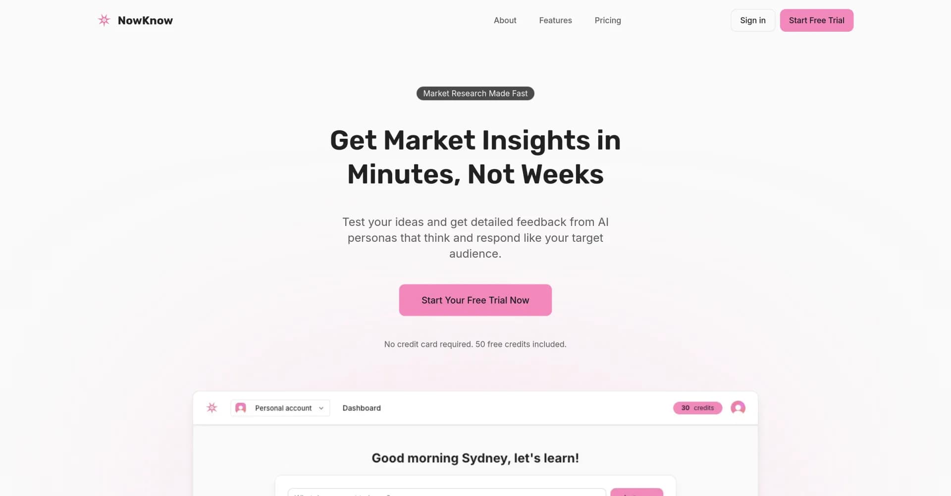NowKnow homepage screenshot — Get market insights in minutes, not weeks.