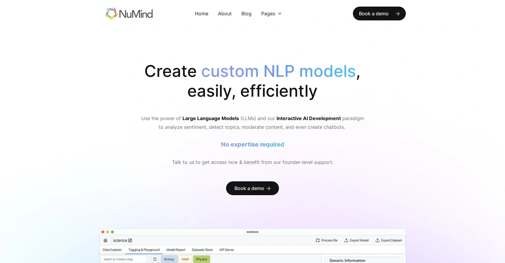 Numind homepage screenshot — Create custom NLP models effortlessly