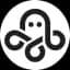 Octaply.ai logo
