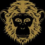 Omneky logo