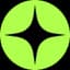 Raizer logo
