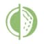 ScanMyGolfBall logo