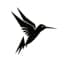 Songbird News logo
