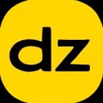 Dzinev2.4 logo