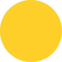 Summer AI logo