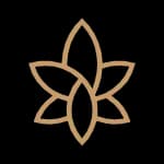 TheraPulse logo