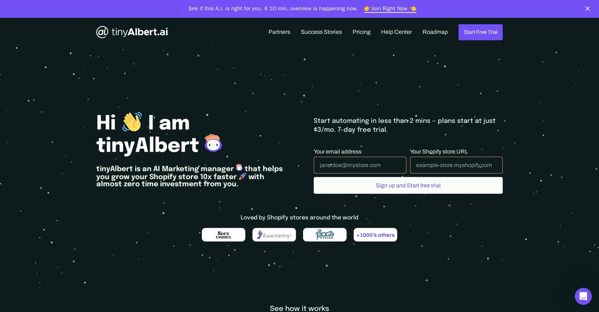 TinyAlbert homepage screenshot — AI marketing manager to grow your Shopify store 10x faster