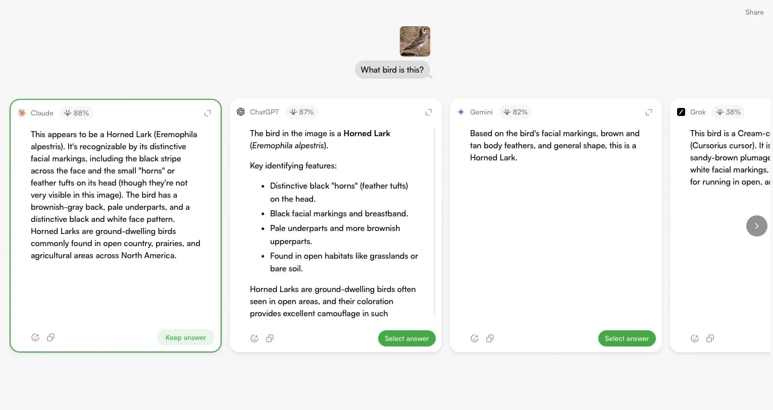 TopFrog homepage screenshot — Compare AI chatbots for smarter answers