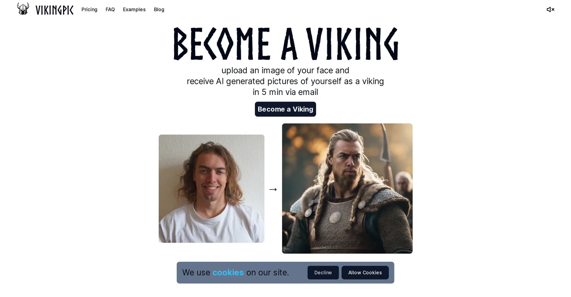 VikingPic homepage screenshot — Transform yourself into a Viking with AI.
