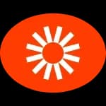 Visual Electric logo