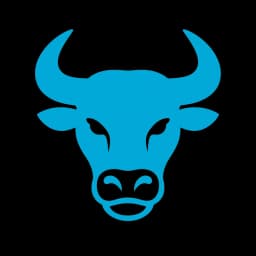 Vizbull logo