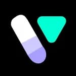 Vmake logo