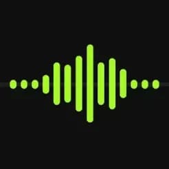 VoiceRec logo