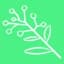 Wattle logo
